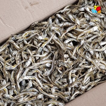 강원마트 더해담,아침미소 가이리멸치 중 1.5kg