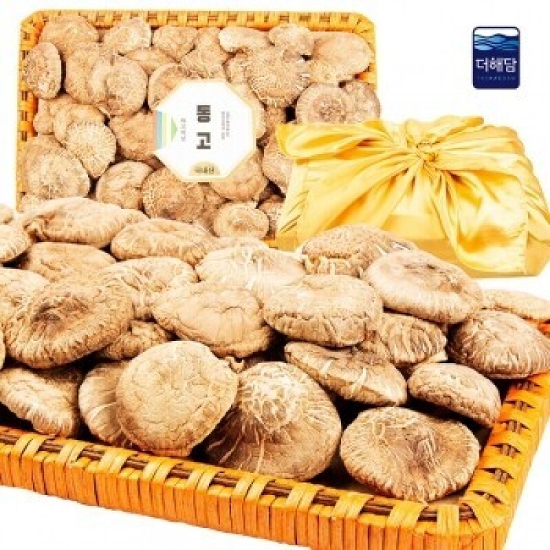 강원마트 더해담,빼어날수 차가버섯세트 특호 (1kg)